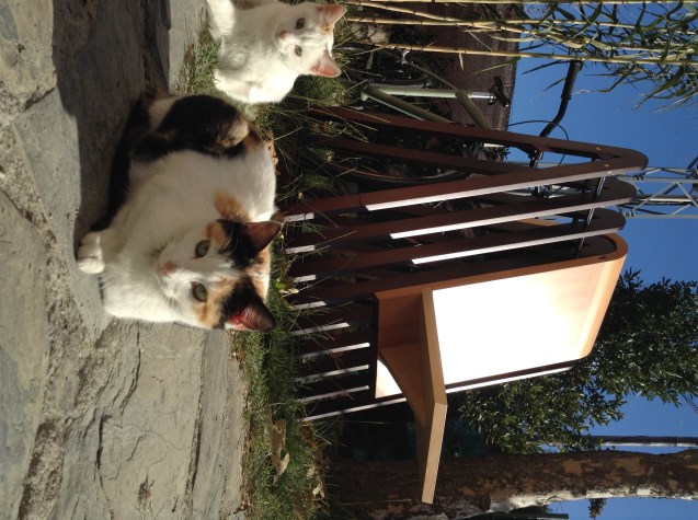 Foto 03-12-13 13 08 04