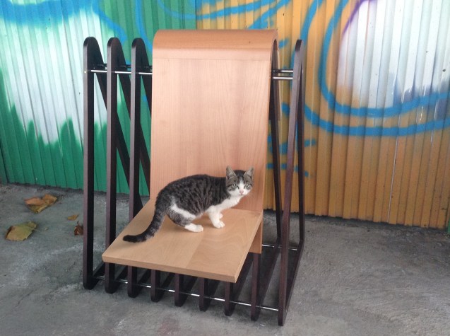 Foto 03-12-13 17 39 29 copia