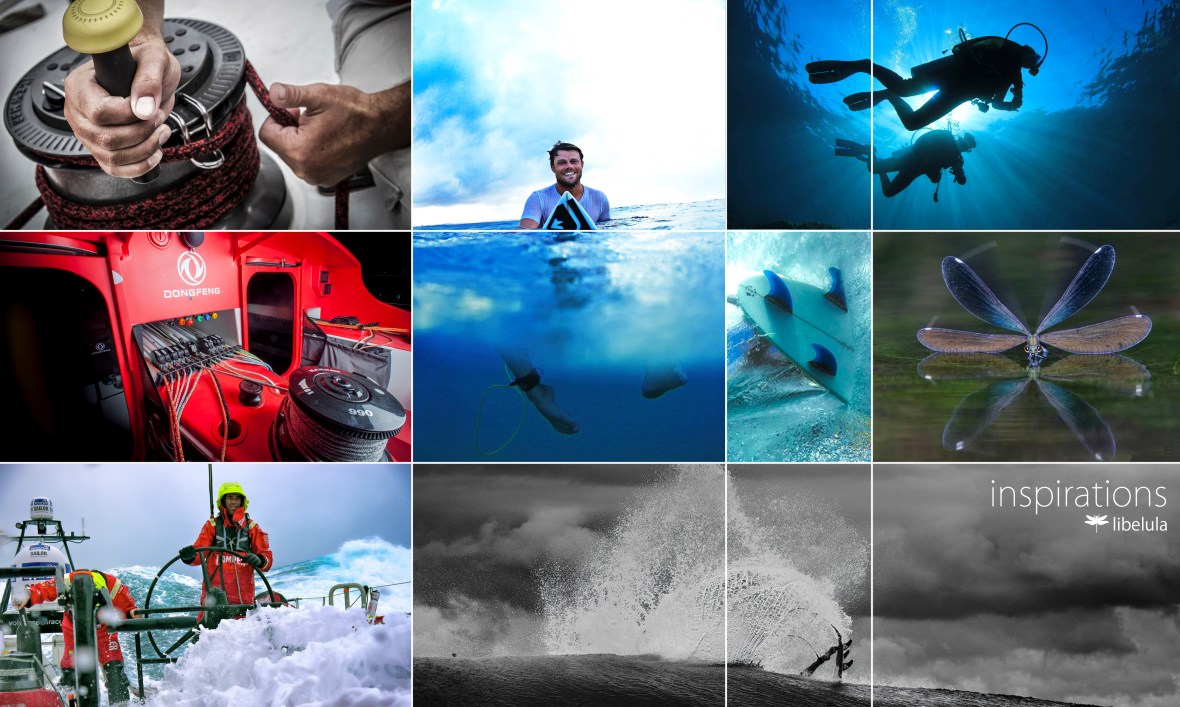 imagenes inspiracion libelula